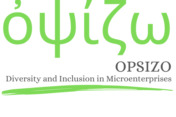 OPSIZO Innovative corporate welfare model D&I in microenterprises